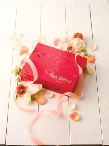 Red gift box labeled Royal Collection surrounded by pink and ivory rose petals and a pink ribbon on a white wooden surface.