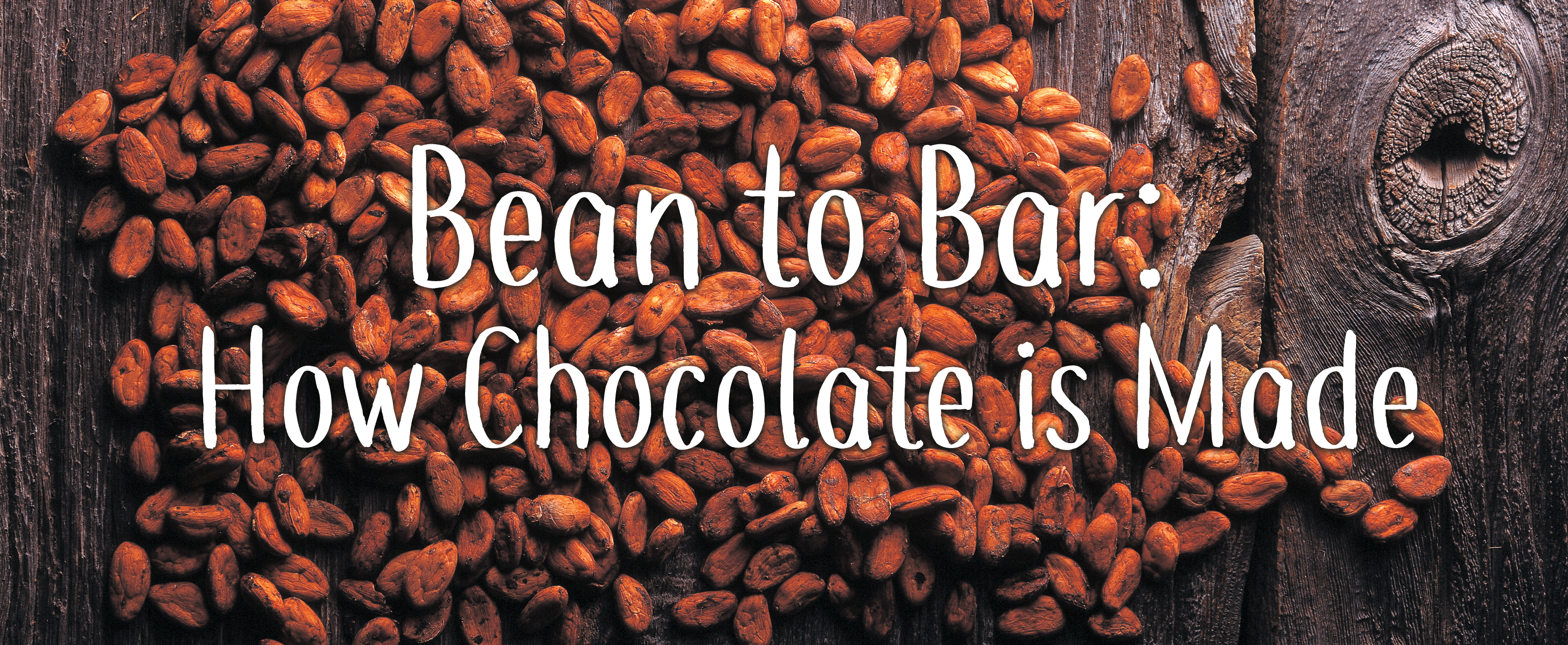 Banner image of raw cocoa beans on wooden surface with overlaid white text reading “Bean to Bar: How Chocolate is Made.”