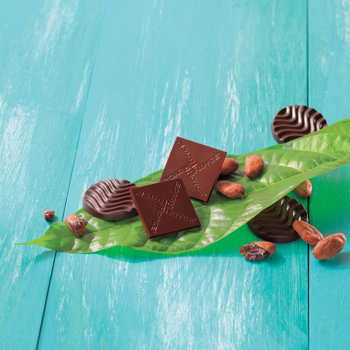 Turquoise surface with a green cocoa leaf displaying two square ROYCE dark chocolate bars, two round disks, cocoa beans, and nibs.