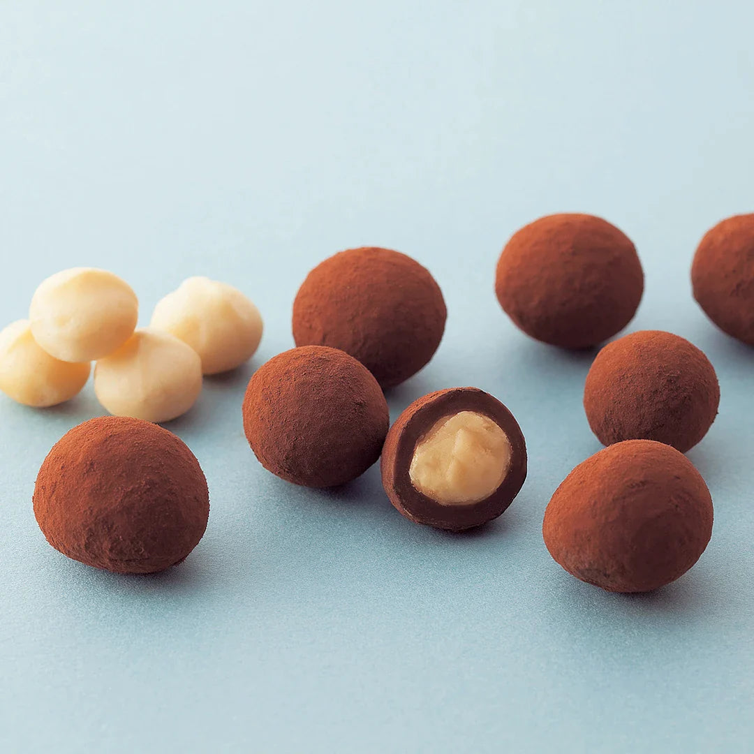 Close-up of cocoa-coated truffles with creamy macadamia centers, accompanied by a small pile of raw macadamia nuts.