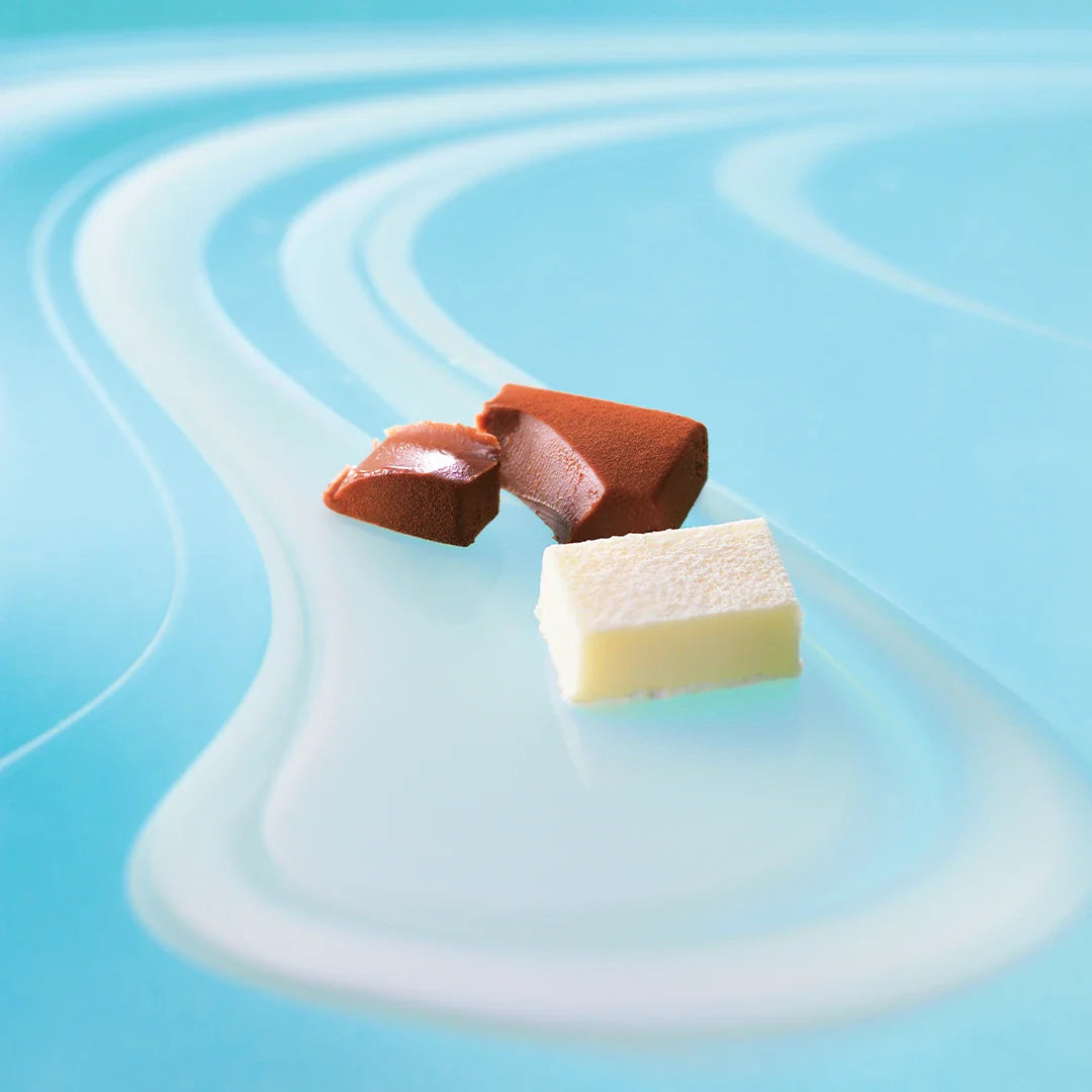 Two confectionery pieces: a partially broken milk or dark chocolate ganache square, and a smooth white chocolate cube, displayed on a blue background.