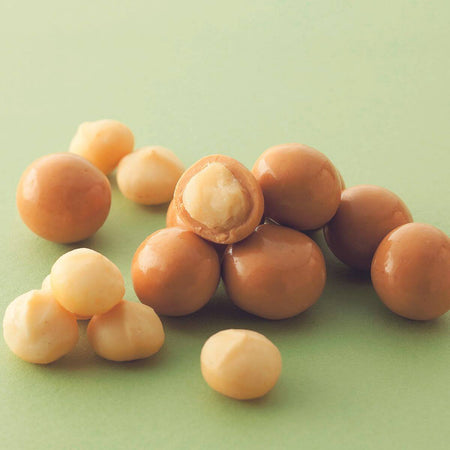 ROYCE' Chocolate - Macadamia Gianduja Chocolate - Image shows macadamia nights coated with milk chocolate. Background is in green.