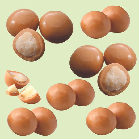 ROYCE' Chocolate - Macadamia Gianduja Chocolate - Image shows macadamia nights coated with milk chocolate. Background is in green.