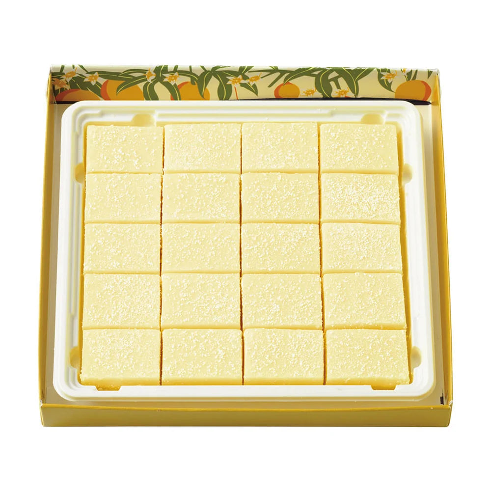 Nama Chocolate "Grapefruit & Mango"