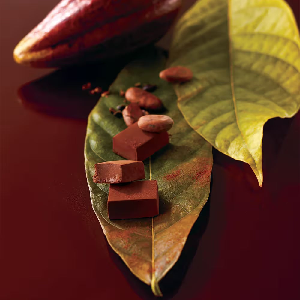 Nama Chocolate "Ecuador Sweet"