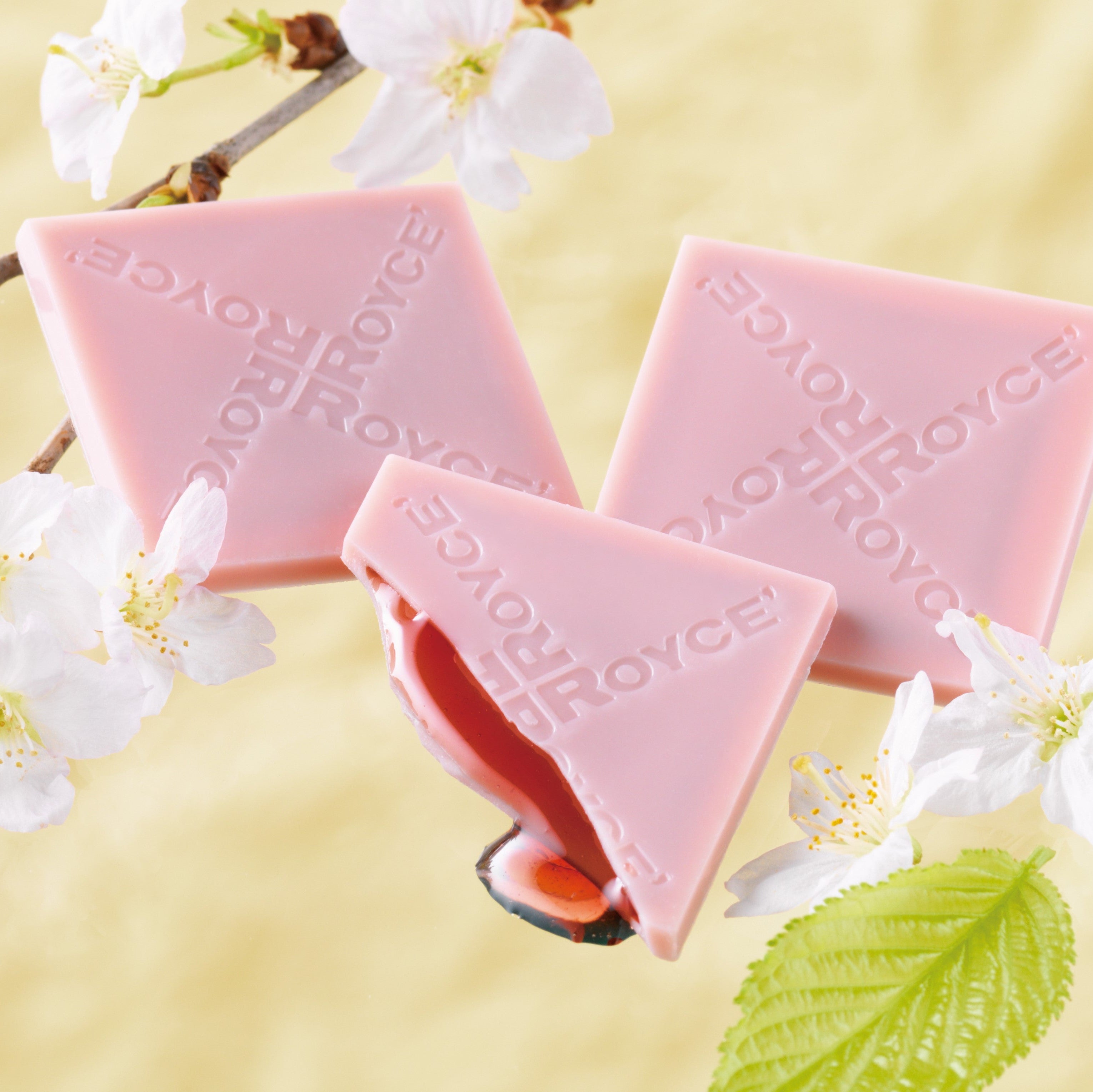 Prafeuille Chocolat "Sakura Cube"