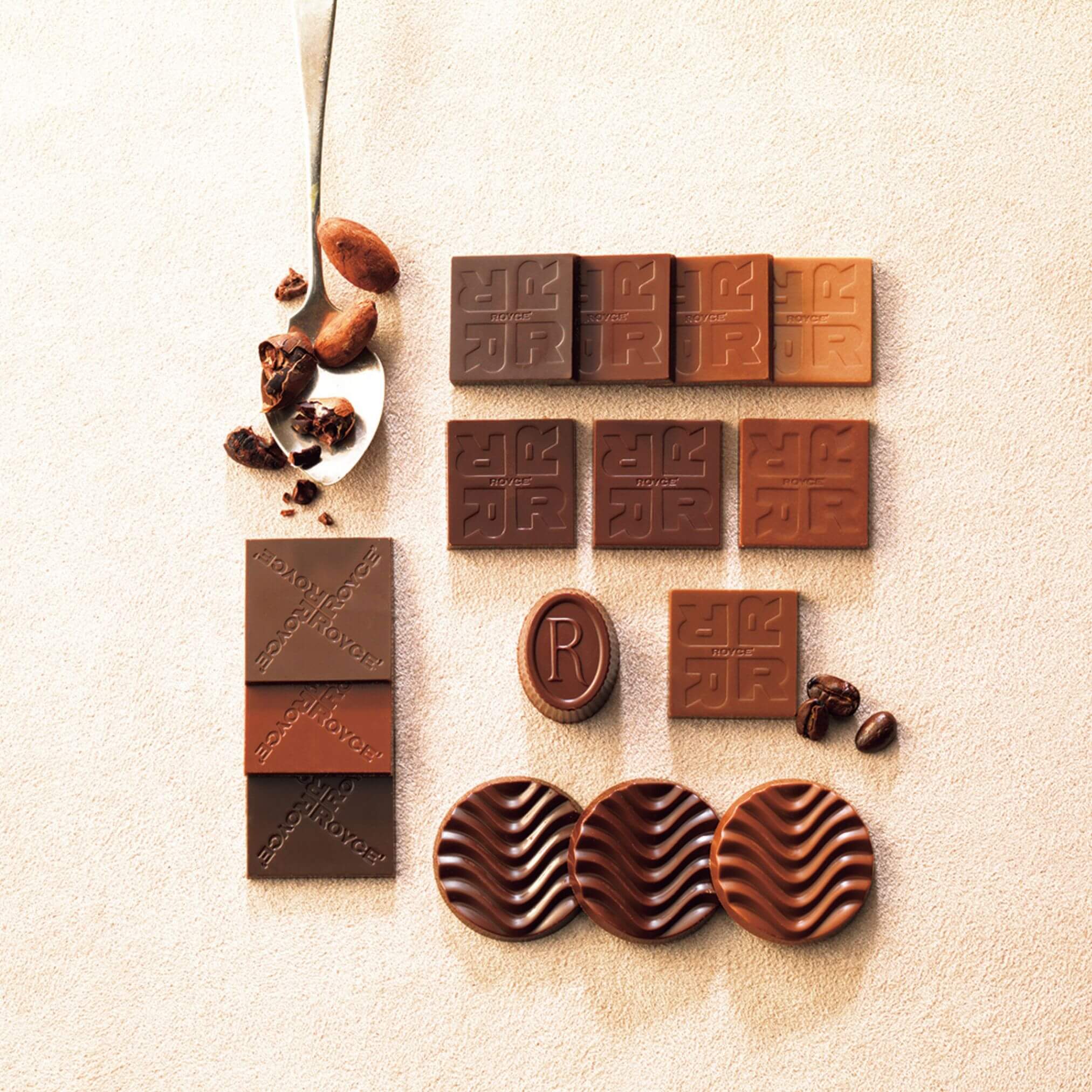 ROYCE' Chocolate - ROYCE' Tasting Box - Image shows brown chocolates in different shapes and sizes with a light brown background. Accents include a silver spoon and some loose cacao beans.