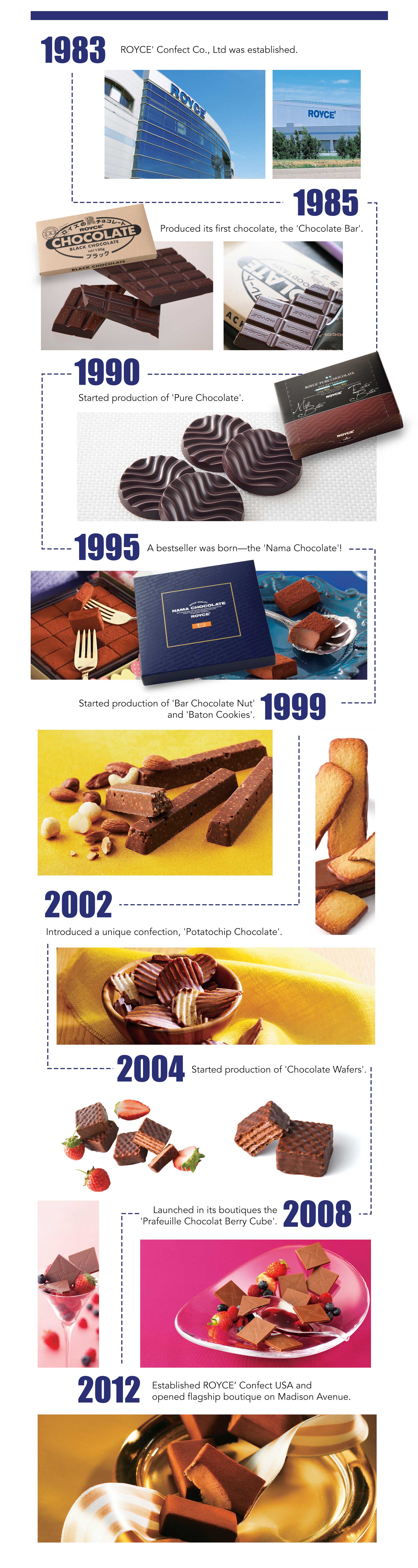 Image Section