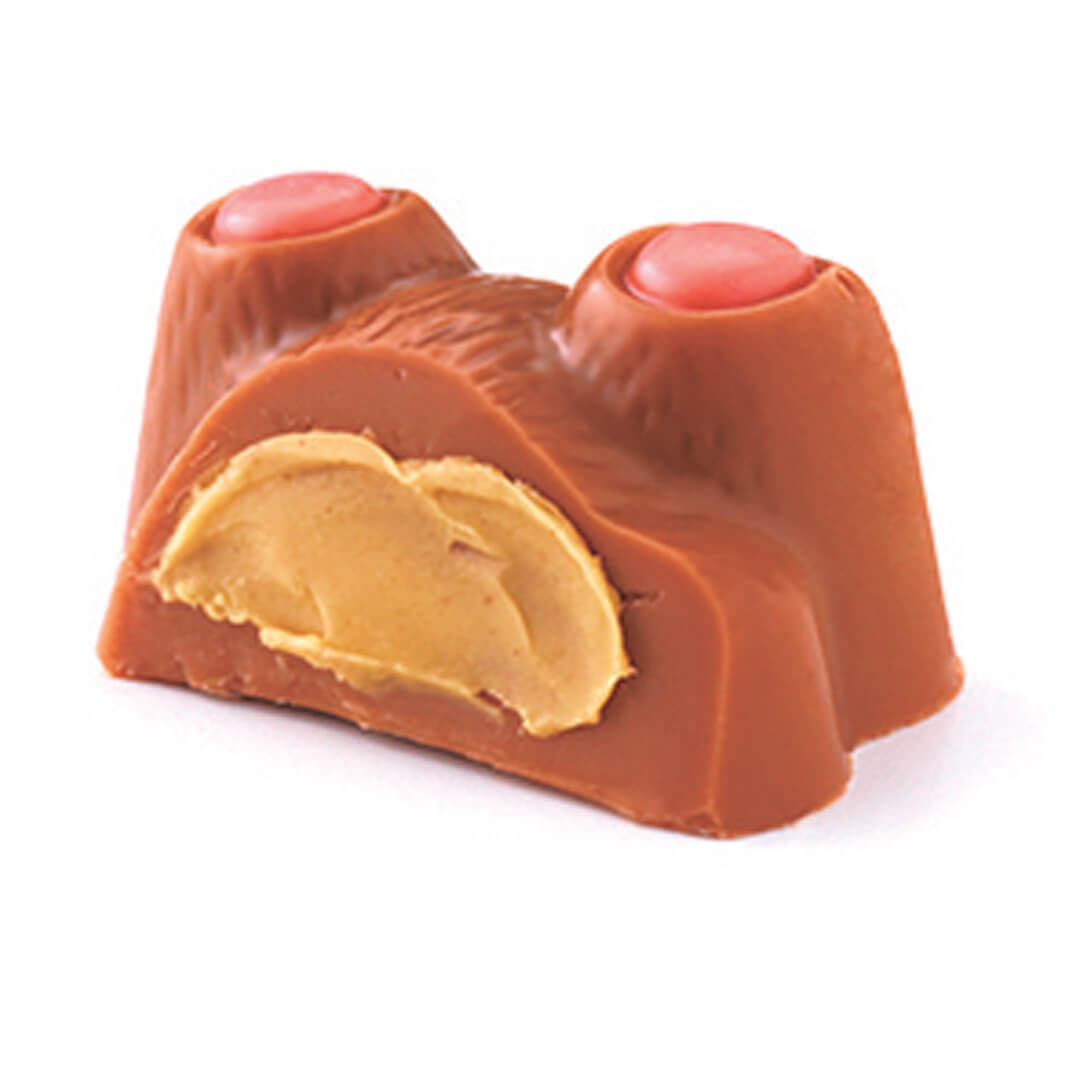 Petit Bear Chocolat Pistachio (10 Pcs) sliced open, revealing creamy pistachio filling, topped with two small red candy dots.