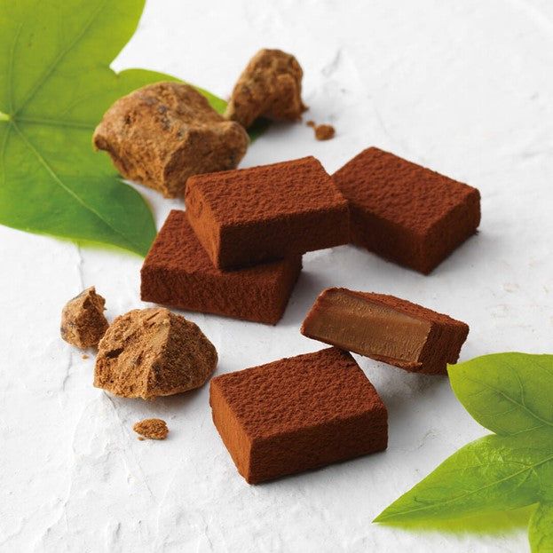ROYCE' Ishigakijima Nama Chocolate Kokutoh, creamy squares dusted with cocoa, showcasing a smooth interior, arranged with cocoa chunks and green leaves.