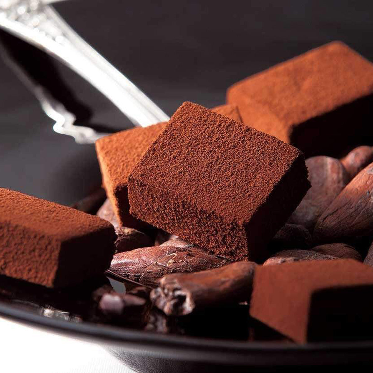 ROYCE' Chocolate - Nama Chocolate "Ghana Bitter" - Image shows brown blocks of chocolates and rounded brown cacao beans on a black plate with silver spoon behind.