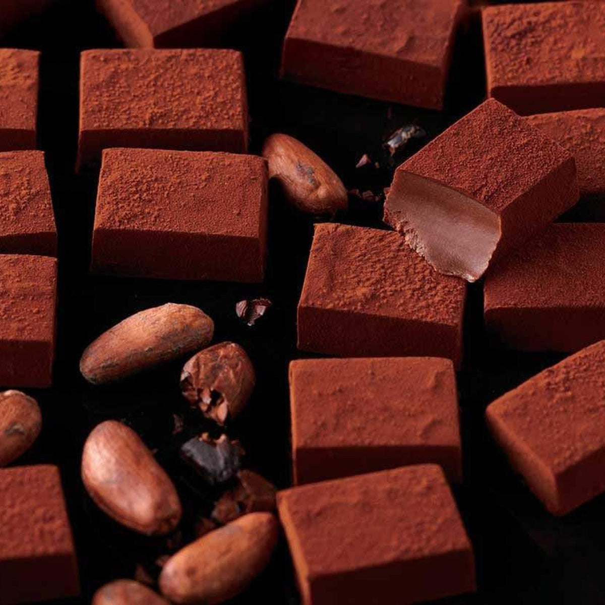 ROYCE' Chocolate - Nama Chocolate "Ghana Bitter" - Image shows brown blocks of chocolates and rounded brown cacao beans with black background.