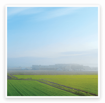 VIEW OF FIELD WITH CITY LINE BEHIND