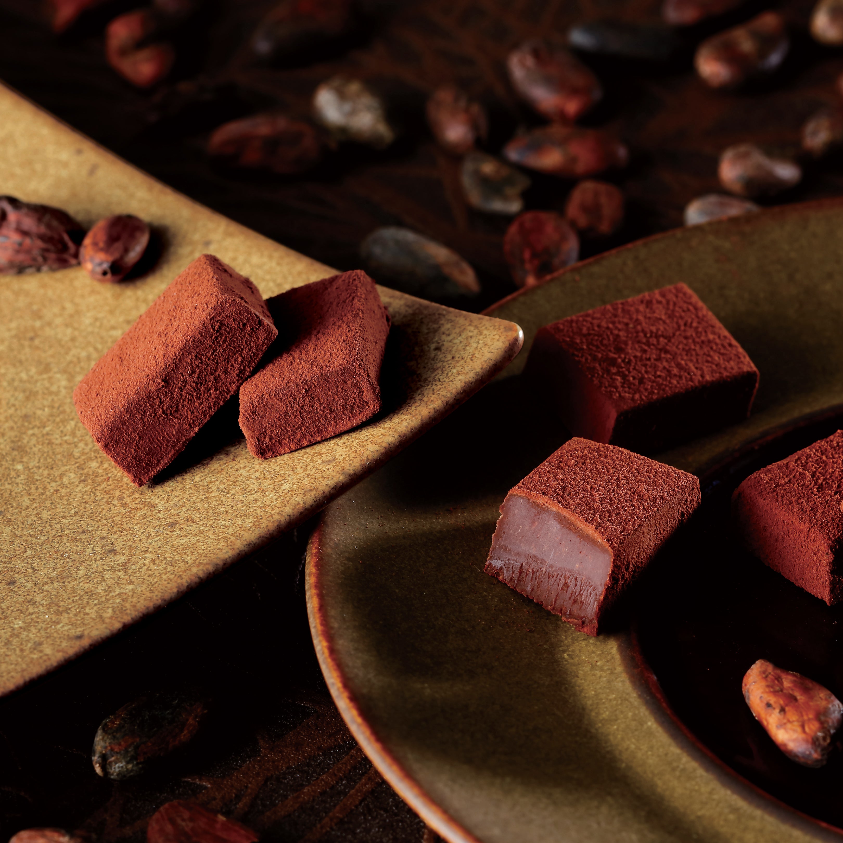 Image shows ROYCE' Nama Chocolate blocks on plates with cacao beans.