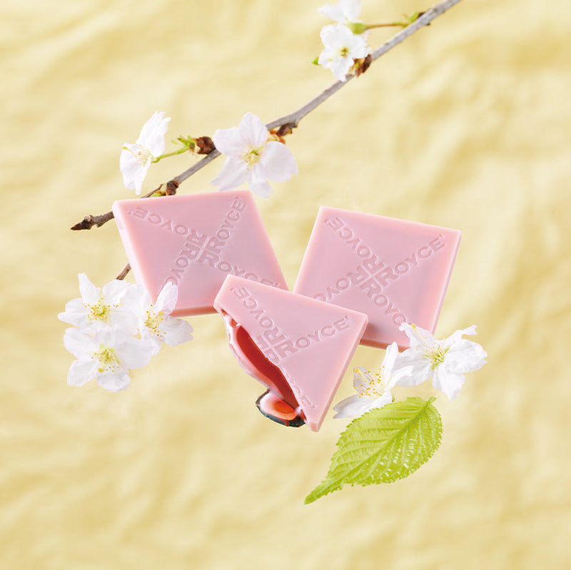 Prafeuille Chocolat "Sakura Cube"