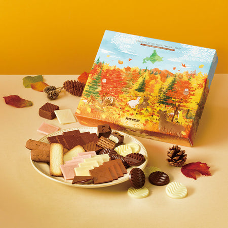 Chocolat No Shiki "Hokkaido" (Winter Package) - Image shows a printed box on the right with a plate of chocolates below. Accents include loose chocolates and leaves. Background is in yellow.