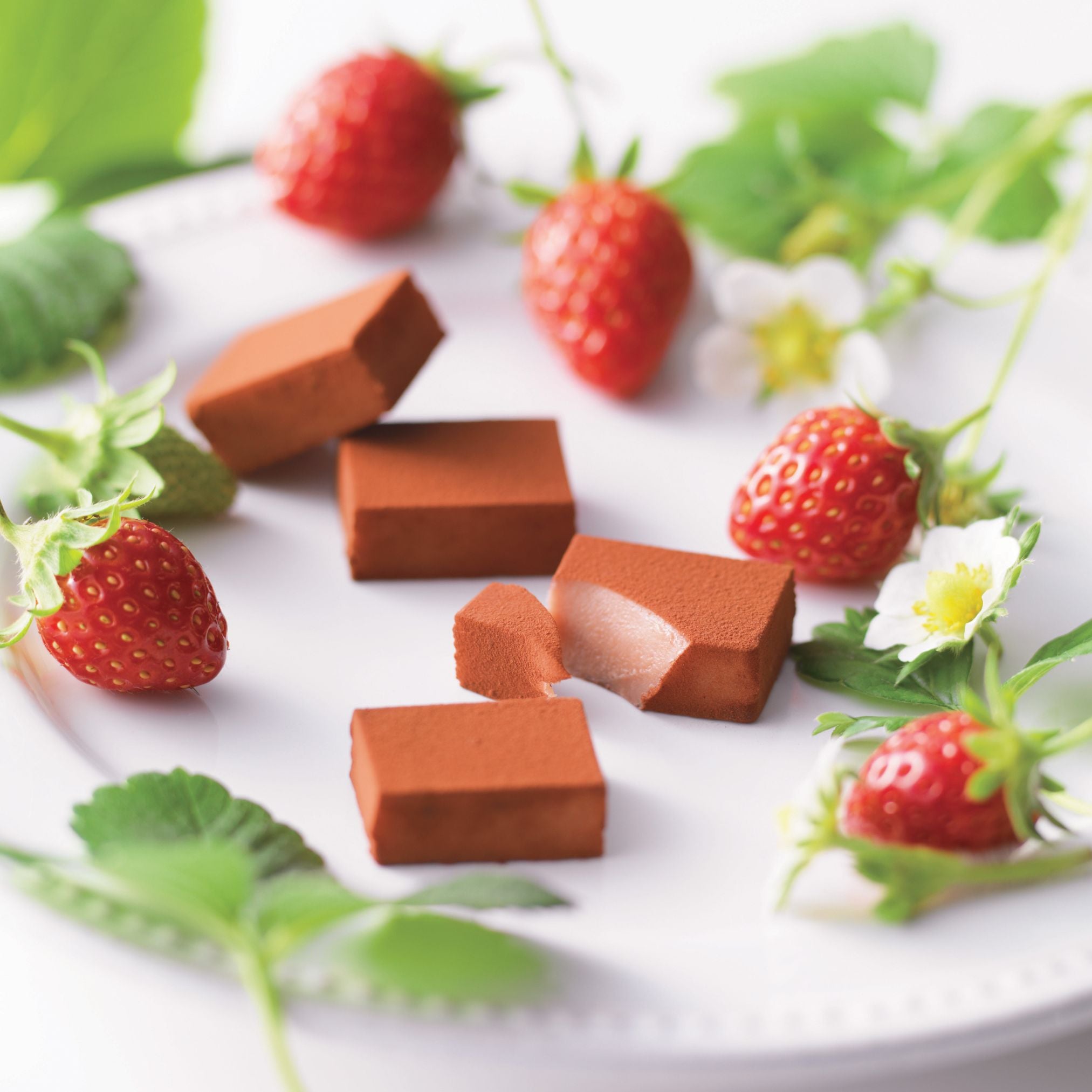 ROYCE' Chocolate - Nama Chocolate "Strawberry" - Image shows brown blocks of chocolates with accents of a white plate, red strawberries, and green leaves.