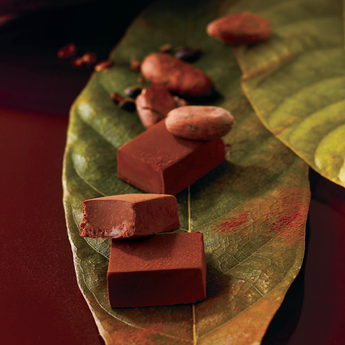 ROYCE' Chocolate - Image shows chocolate blocks on a leaf with cacao beans.