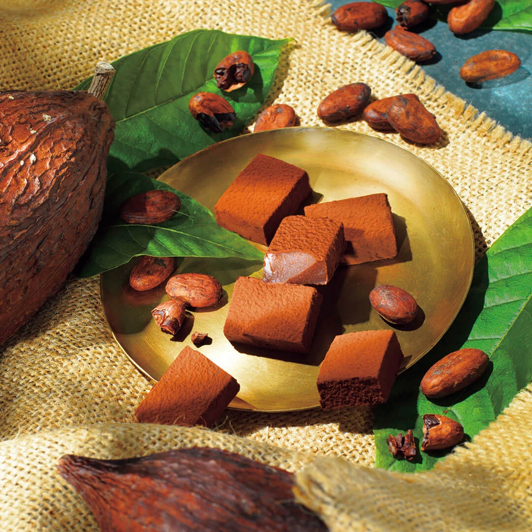 Nama Chocolate Farm to Bar