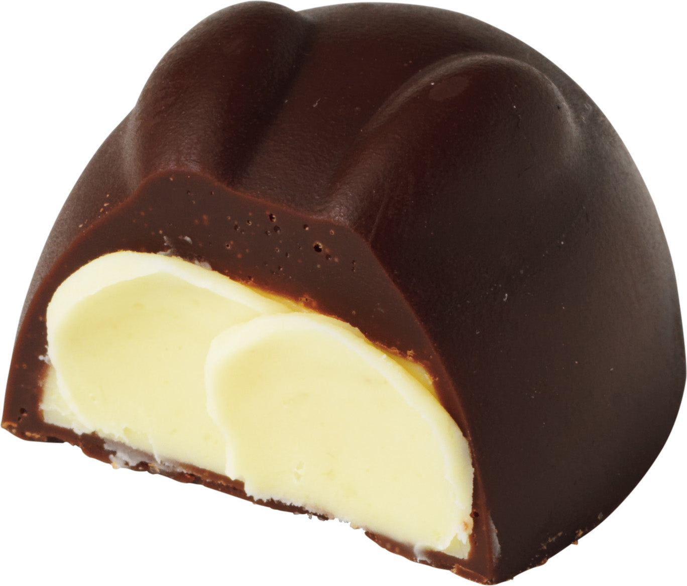 Bunny Chocolat SL 2026