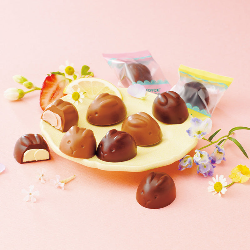 Bunny Chocolat SL 2026