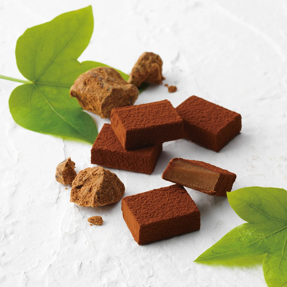 ROYCE' Ishigakijima Nama Chocolate "Kokutoh"