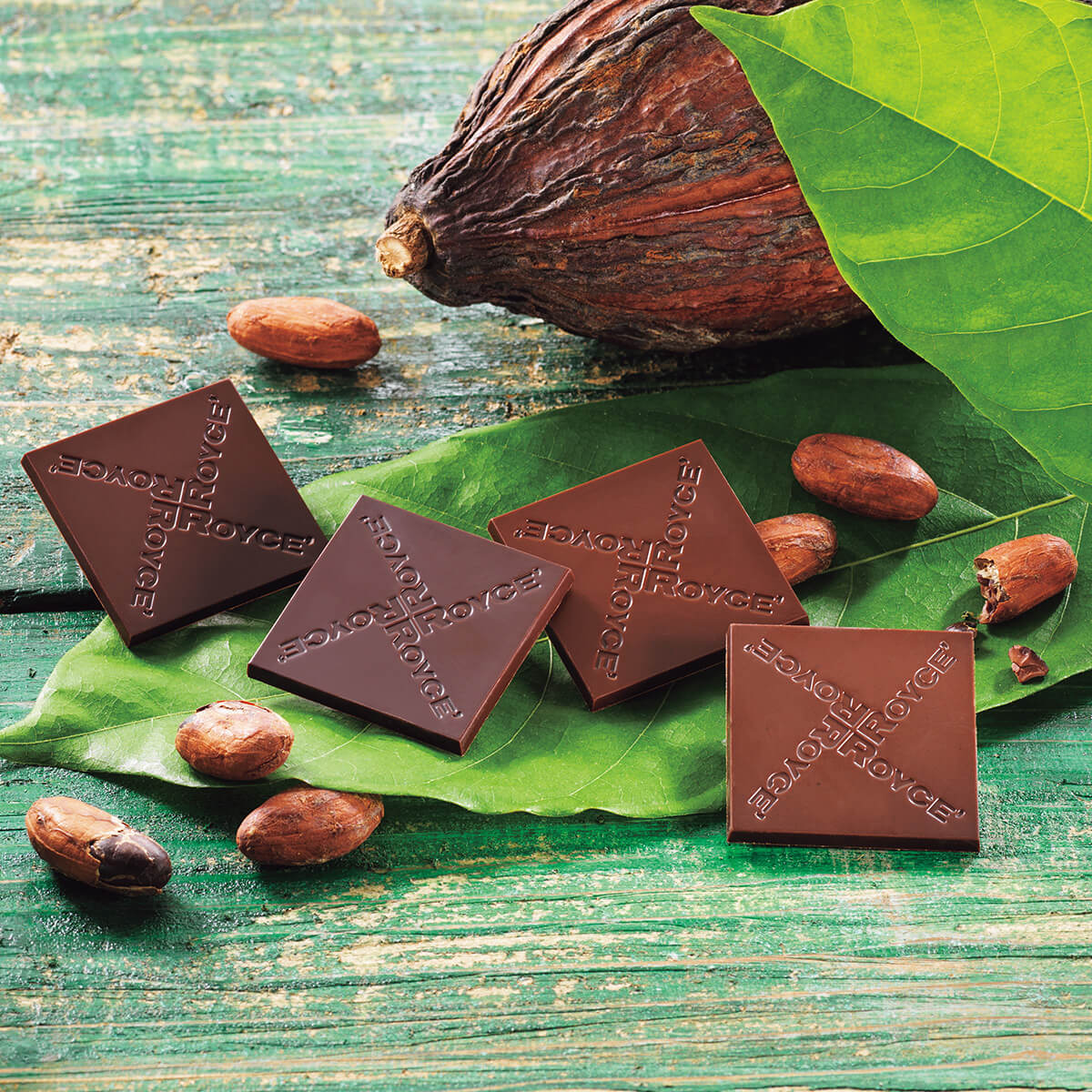 ROYCE' Chocolate - Image shows chocolate squares with the words ROYCE' etched on them. Accents include leaves, loose cacao beans, and a cacao pod.