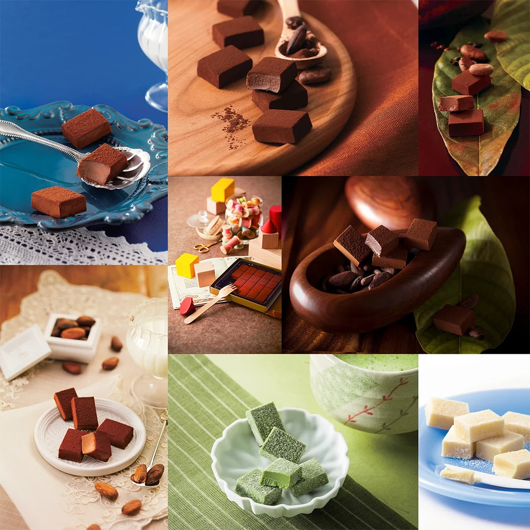ROYCE' Prestige Nama Chocolate Collection