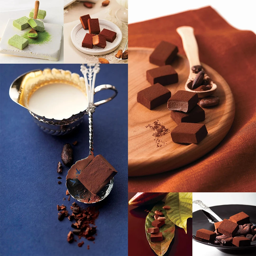 ROYCE' Signature Nama Chocolate Collection