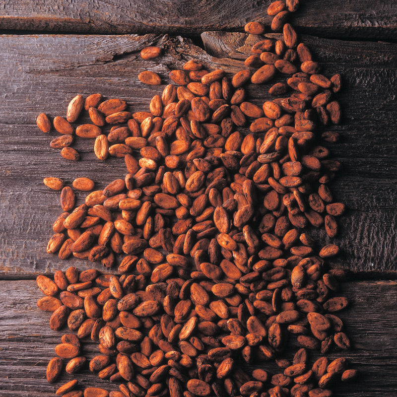 cocoa beans on wooden boards