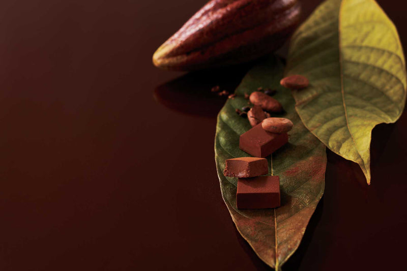 Chocolate pieces and cocoa beans on a leaf