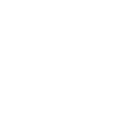 white illustrated shield
