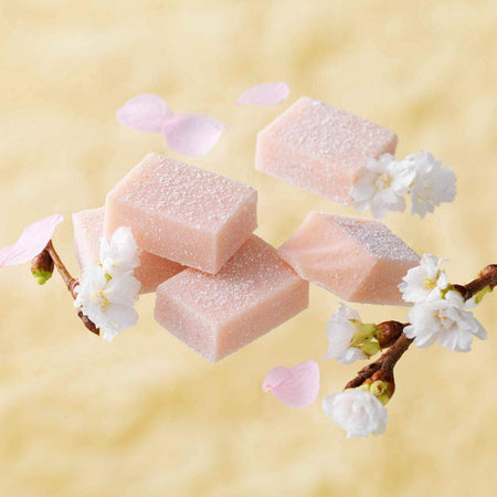 ROYCE' Chocolate - Nama Chocolate "Sakura Fromage" - Image shows pink blocks of chocolates with accents of white flowers and brown twigs. Background is in yellow. 