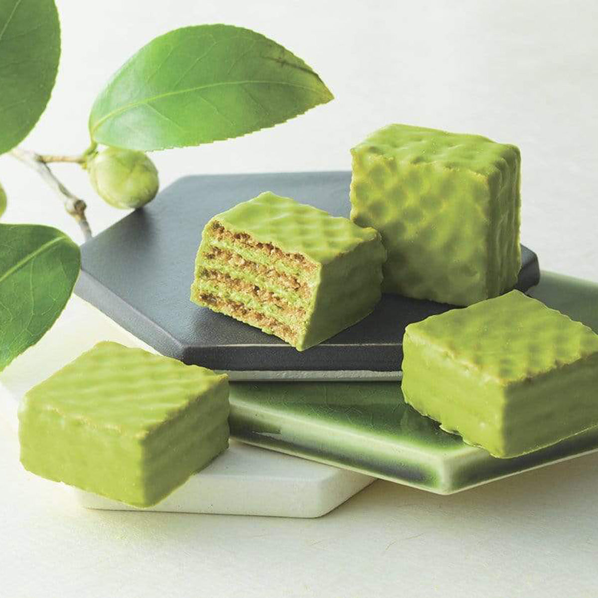 ROYCE' Chocolate - Chocolate Wafers "Matcha" - Image shows green chocolate wafers on  white, green, and black plates. Accents include green leaves. Background is in white.