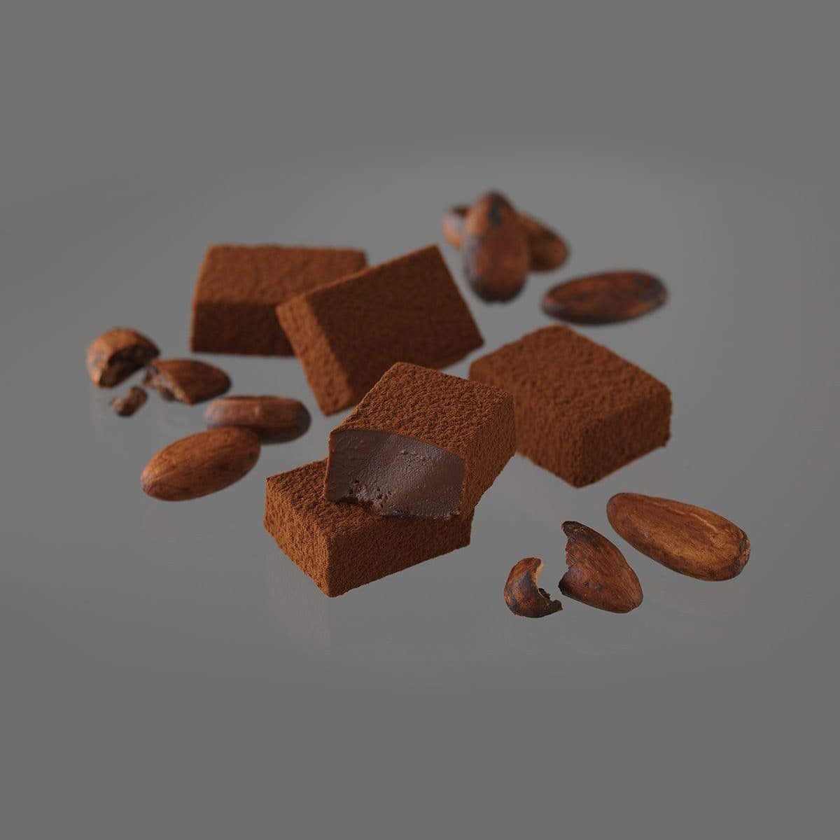 ROYCE' Chocolate - Nama Chocolate "Ghana Bitter" - Image shows brown blocks of chocolates and rounded brown cacao beans with a gray background.