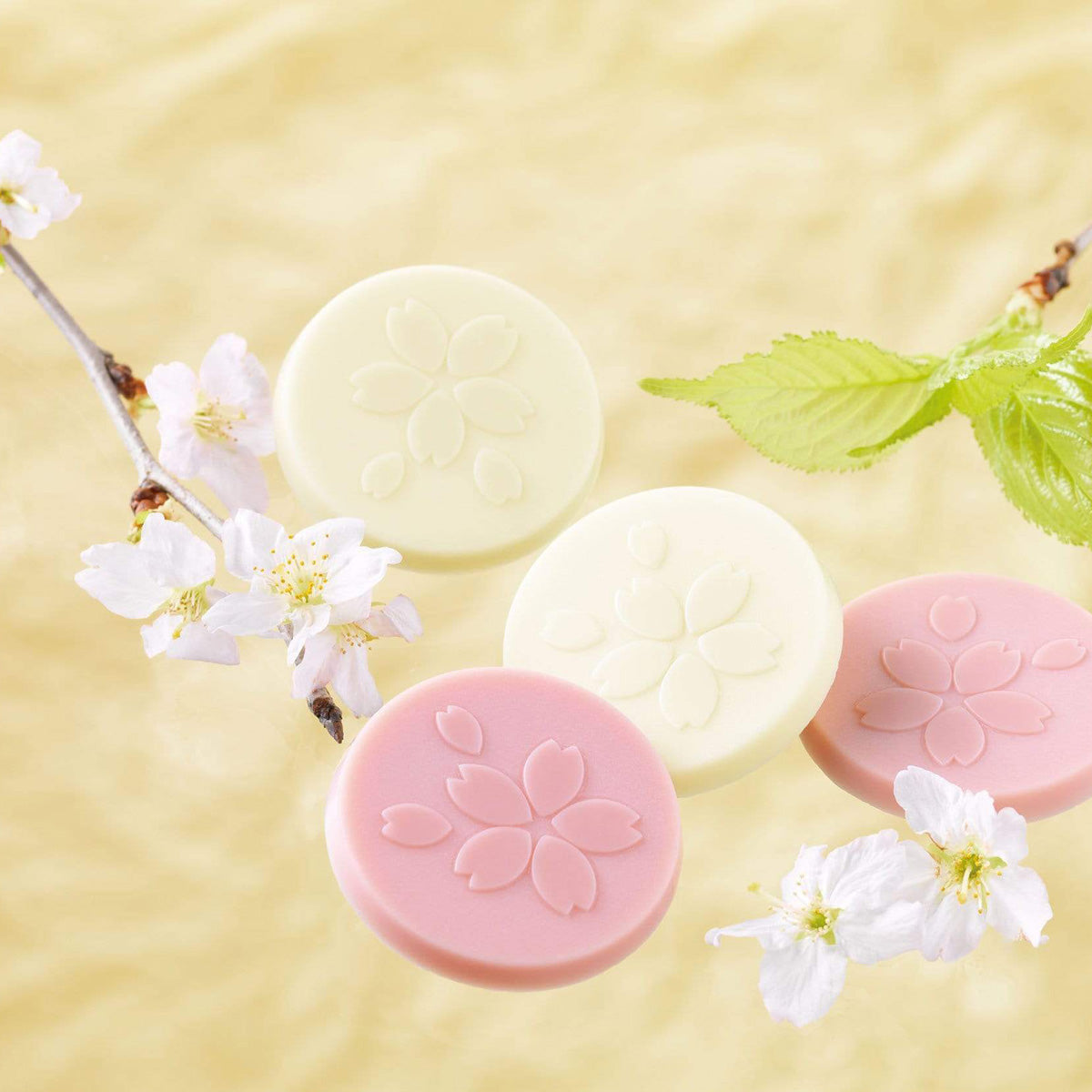ROYCE' Chocolate - Sakuraberry & Sakurawhite Chocolate - Image shows pink and white chocolate discs with floral engravings. Accents include white flowers, a gray twig, and green leaves. Background is in yellow color.