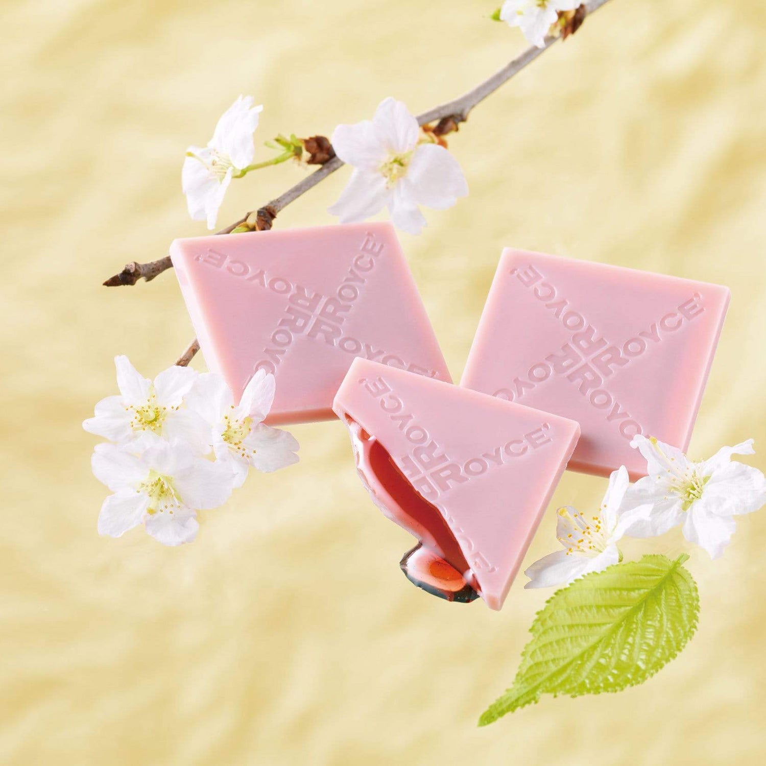ROYCE' Chocolate - Prafeuille Chocolat "Sakura Cube" - Image shows pink chocolate squares filled with red sauce and engraved with the words "ROYCE'". Accents include green leaves and white flowers with brown and gray stems. Background is in color yellow.