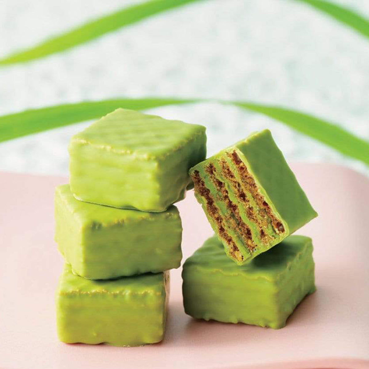 ROYCE' Chocolate - Chocolate Wafers "Matcha" - Image shows green chocolate wafers on a pink plate. Background is white with accents of green ribbons.